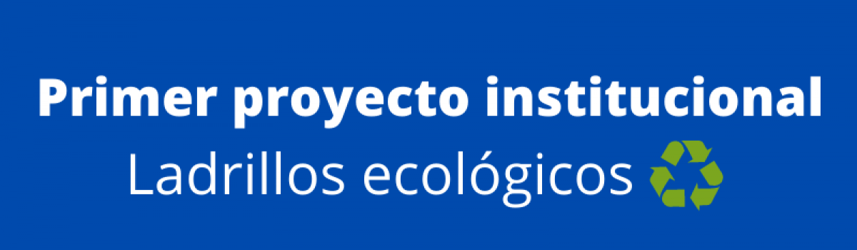 Ladrillos ecológicos