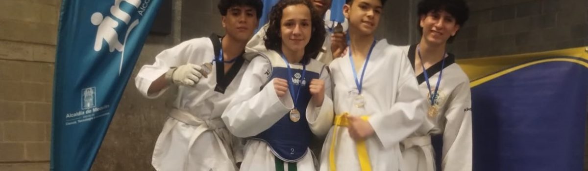Campeón taekwondo